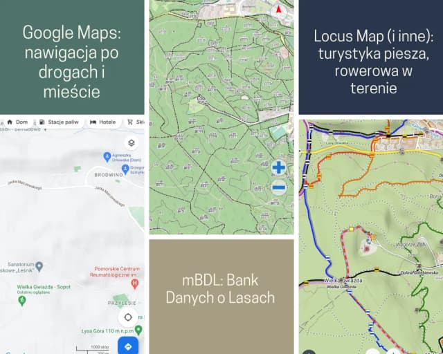 Aplikacja jak się nie zgubić w lesie – skuteczne narzędzia nawigacyjne Aplikacja jak się nie zgubić w lesie – skuteczne narzędzia nawigacyjne